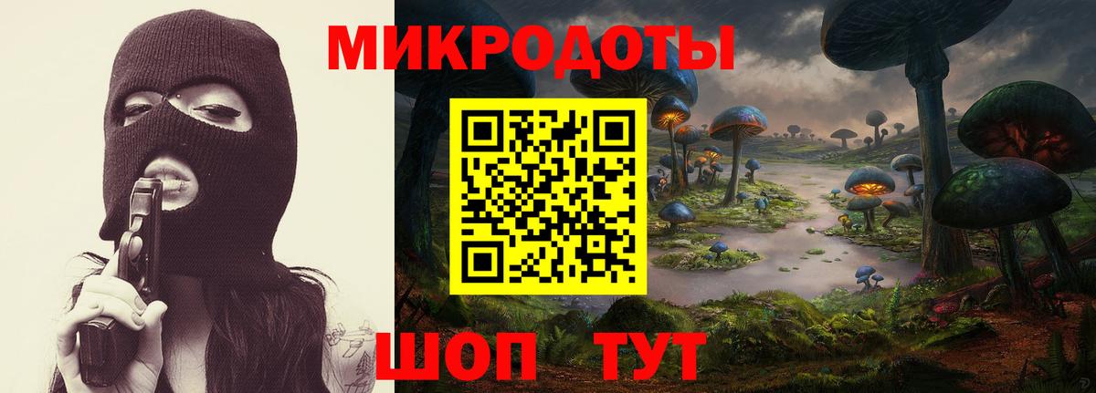 Галлюциногенные грибы Cubensis Реж