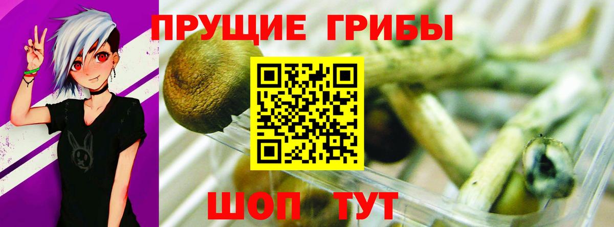 Реж  Галлюциногенные грибы мухоморы  Вход с VPN 